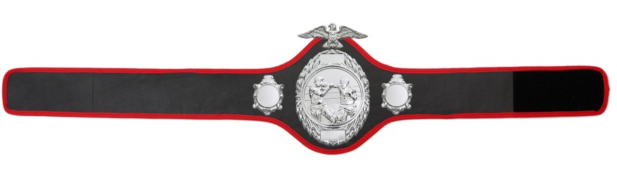 BOXING CHAMPIONSHIP BELT-PRO288/S/BOXS-10 COLOURS BOXING CHAMPIONSHIP BELT-PRO288/S/BOXS-10 COLOURS